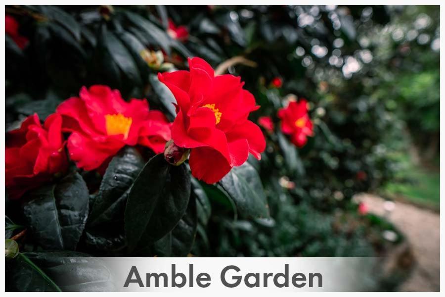Amble At Hahndorf Bed & Breakfast Exterior photo