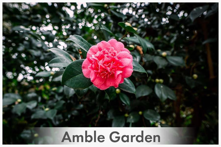 Amble At Hahndorf Bed & Breakfast Exterior photo