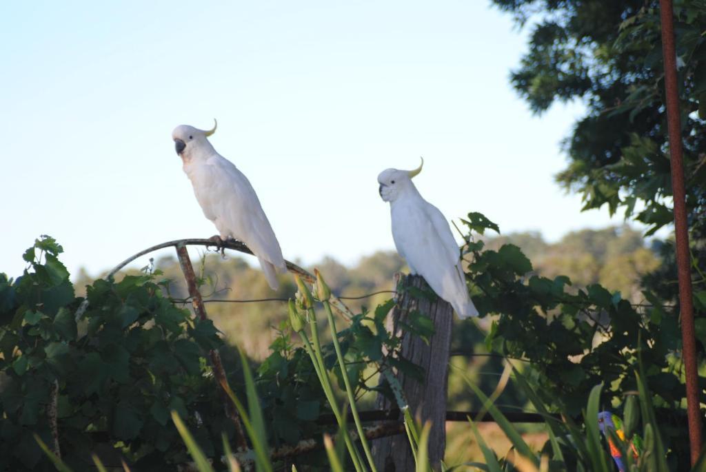 Amble At Hahndorf Bed & Breakfast Room photo