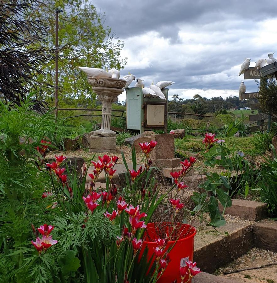 Amble At Hahndorf Bed & Breakfast Exterior photo